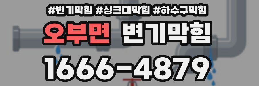 변기막힘