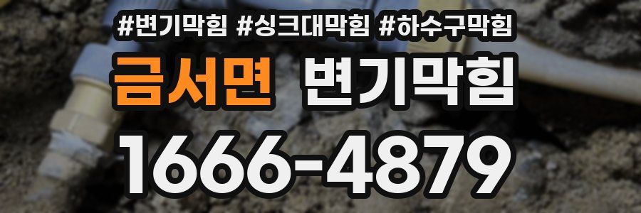 변기막힘