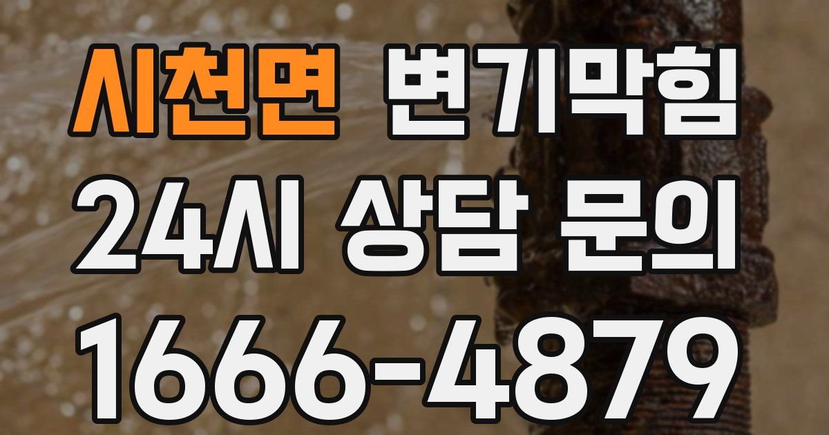 시천면 변기