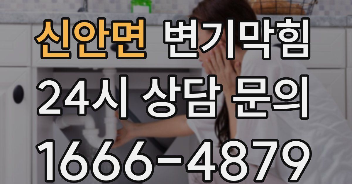 신안면 변기