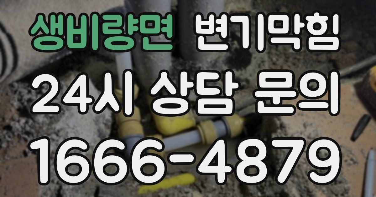 생비량면 변기