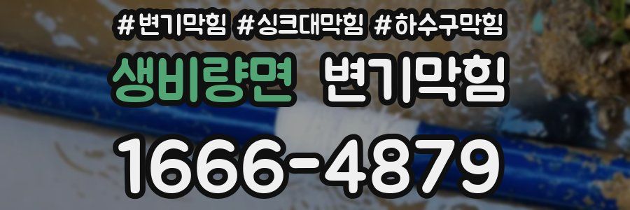 변기막힘