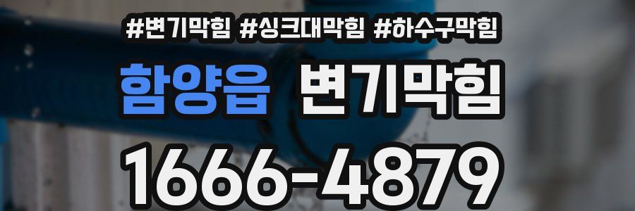 변기막힘