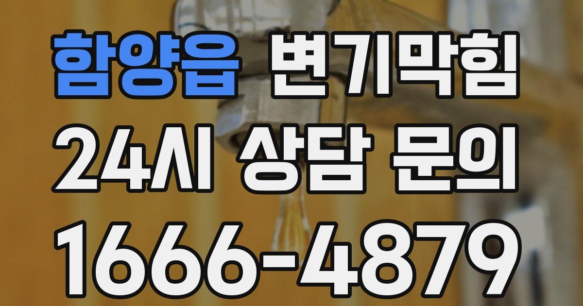함양읍 변기