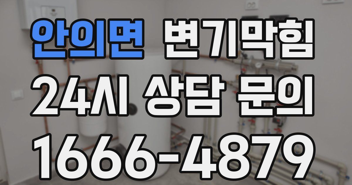 안의면 변기