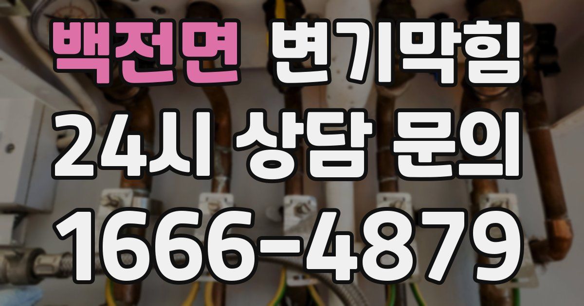 백전면 변기