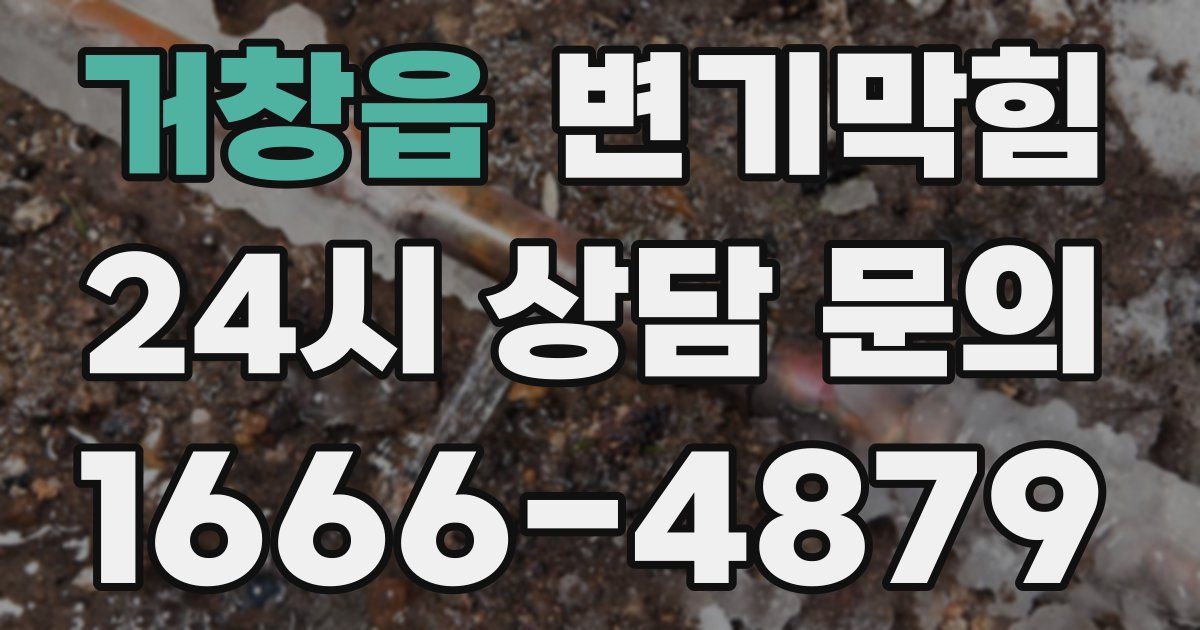 거창읍 변기