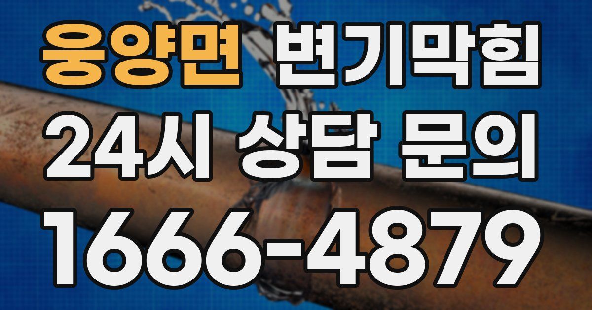 웅양면 변기