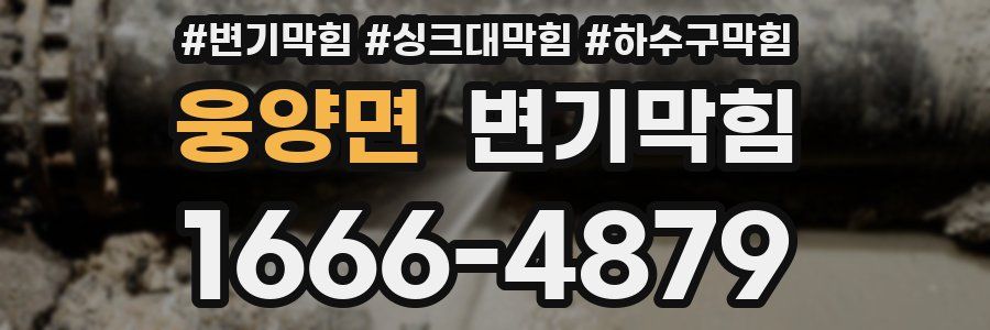 변기막힘