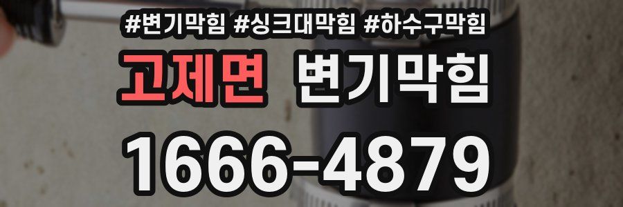 변기막힘