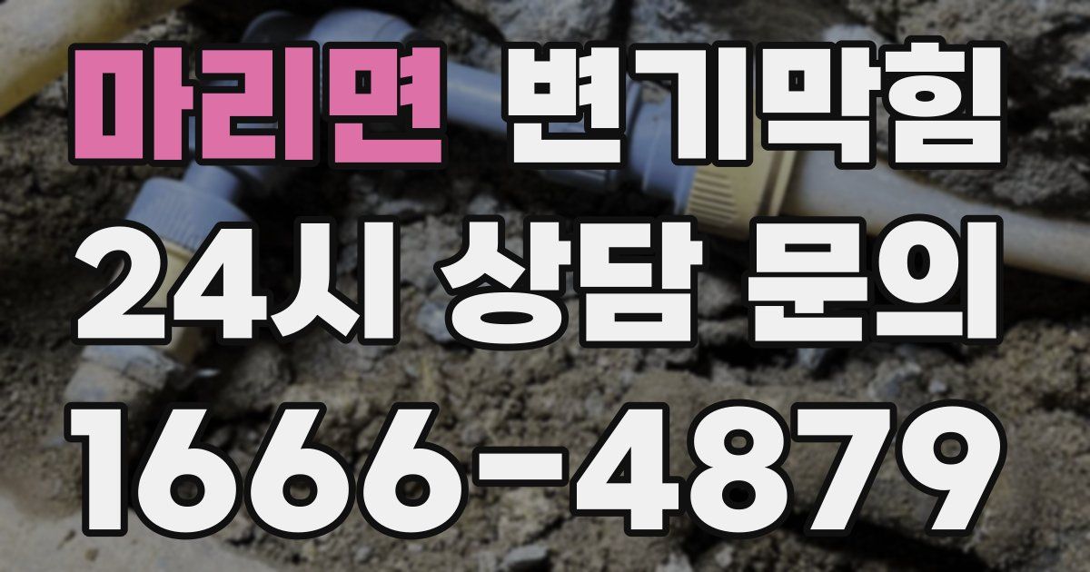 마리면 변기