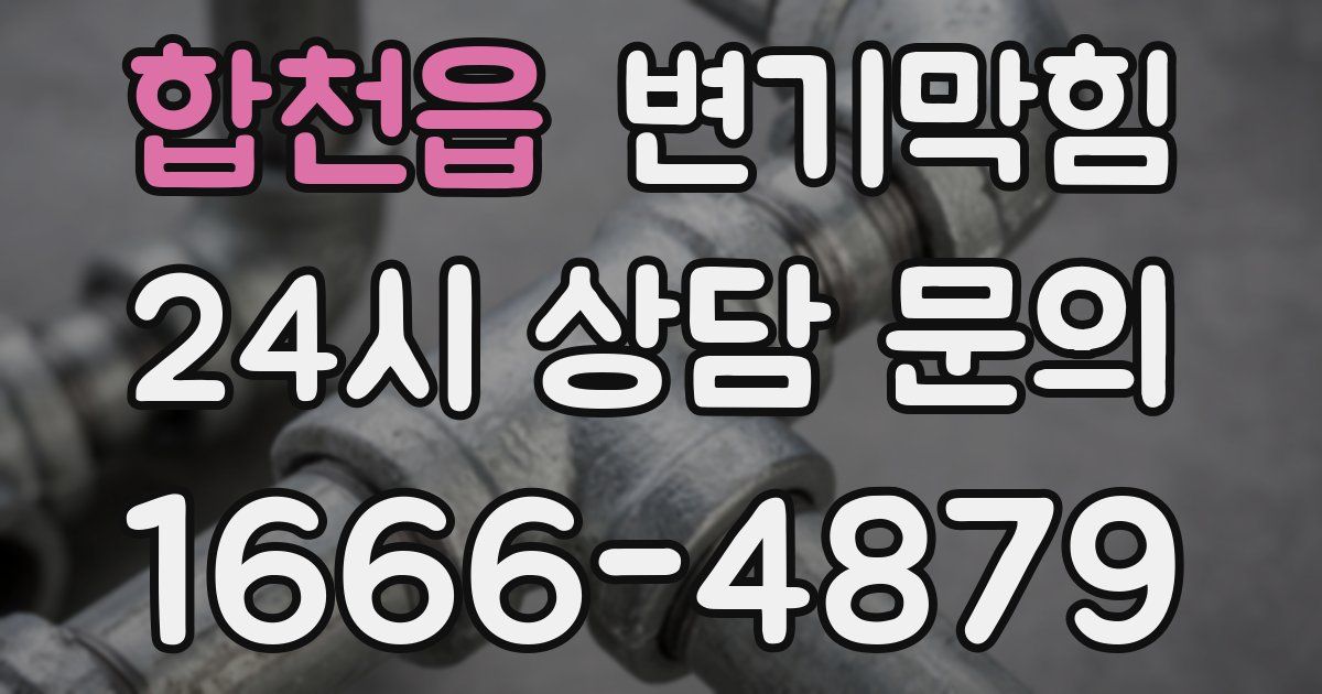 합천읍 변기