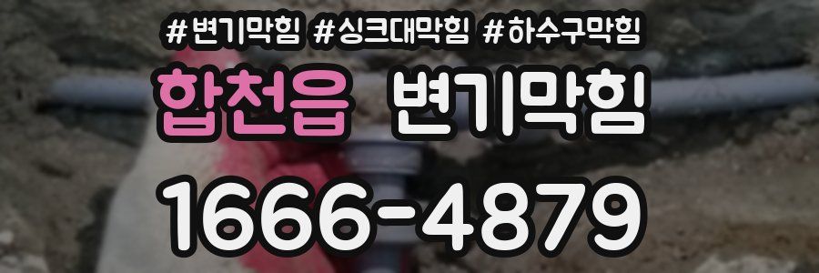 변기막힘