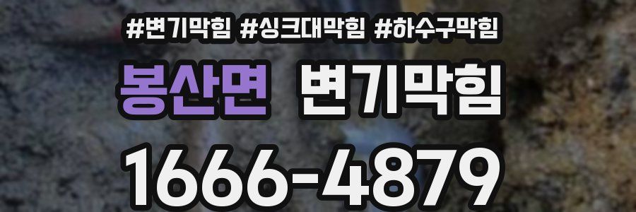 변기막힘