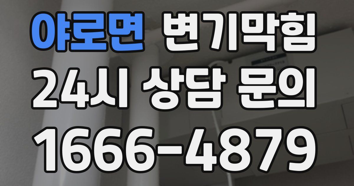 야로면 변기