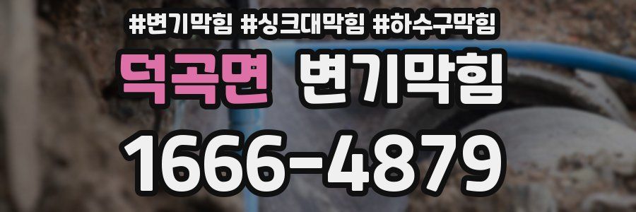 변기막힘