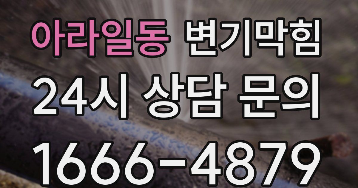 아라일동 변기