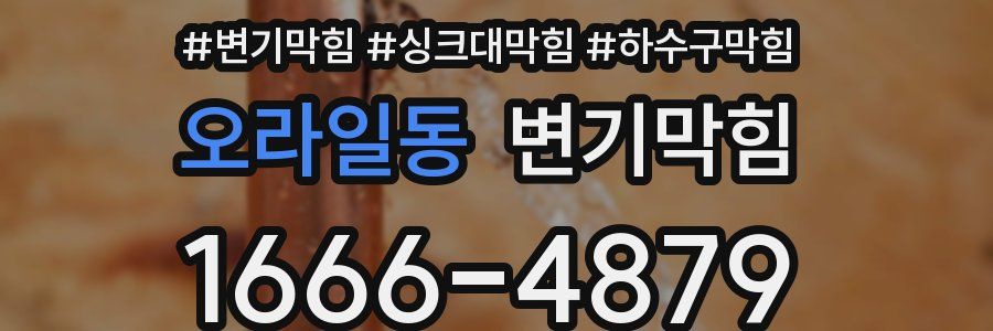 변기막힘