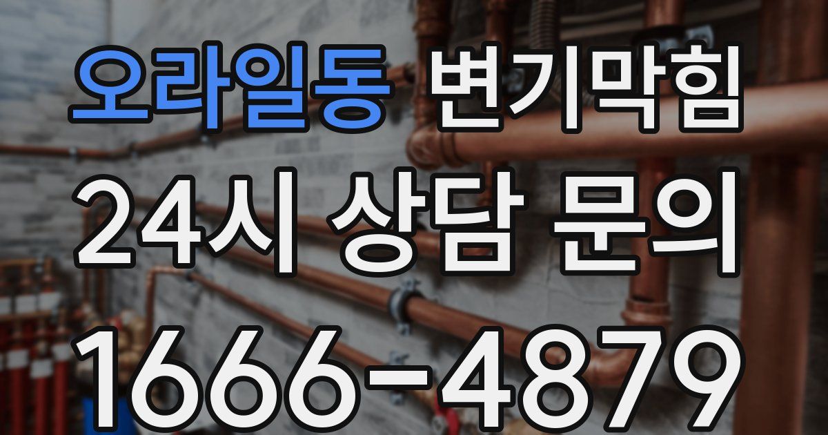 오라일동 변기