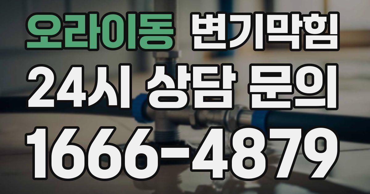 오라이동 변기
