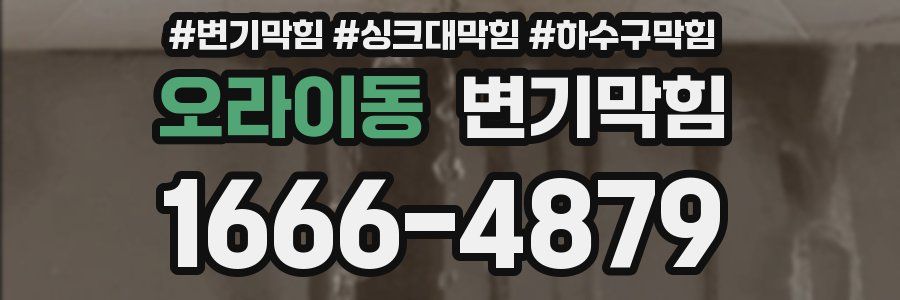 변기막힘
