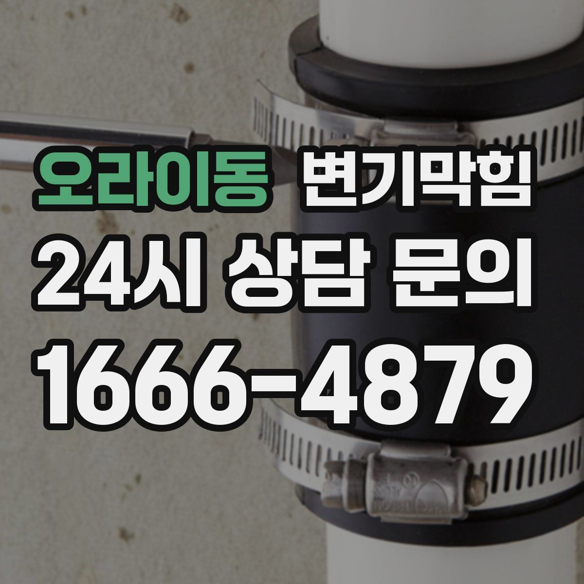 오라이동 변기막힘