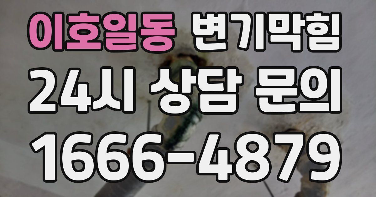 이호일동 변기