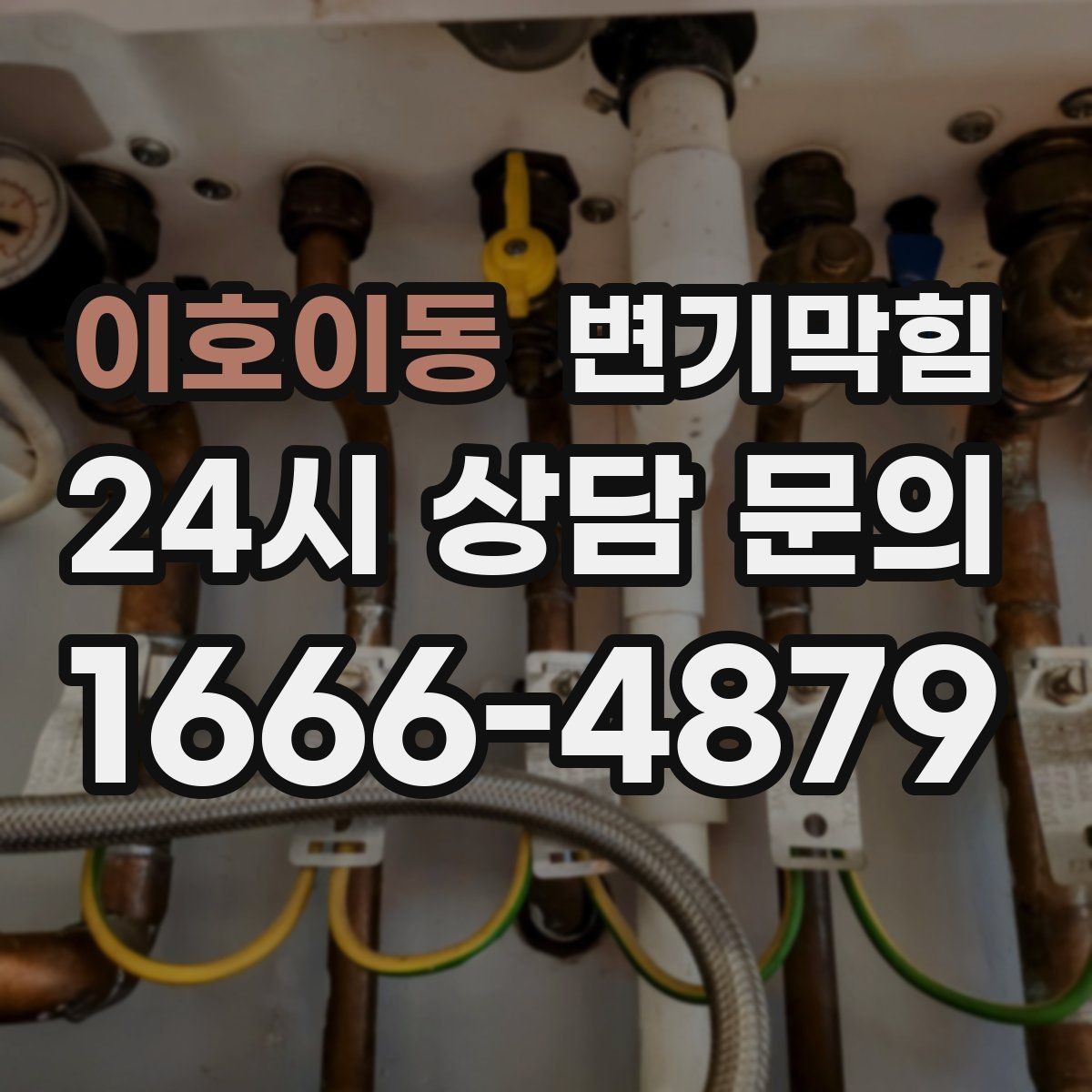 이호이동 변기막힘 다가구 사진·수치로 결과 확인