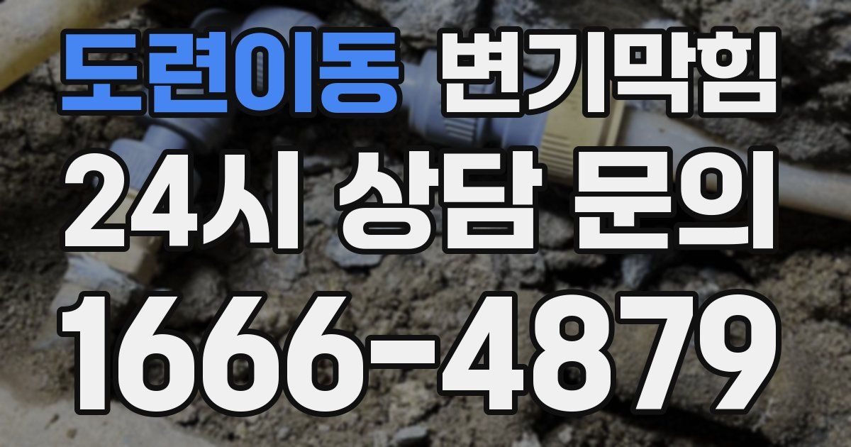 도련이동 변기