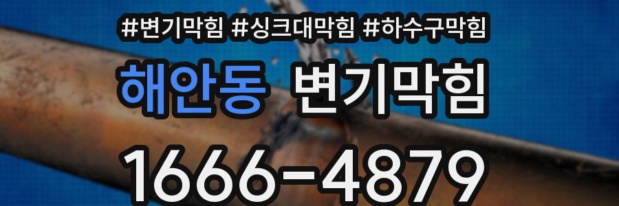 변기막힘