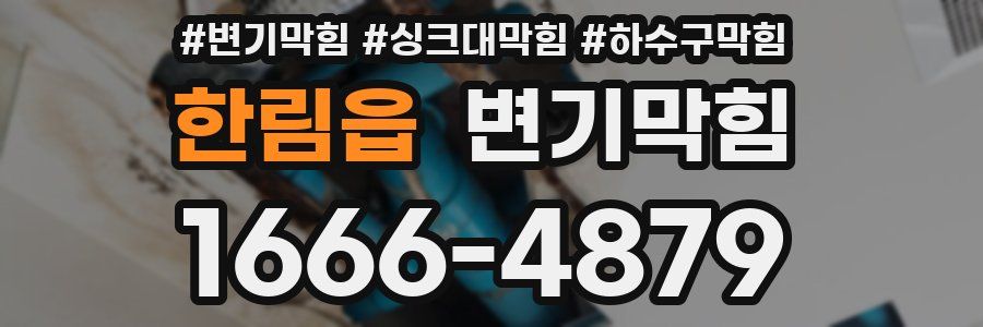 변기막힘
