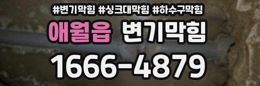 변기막힘
