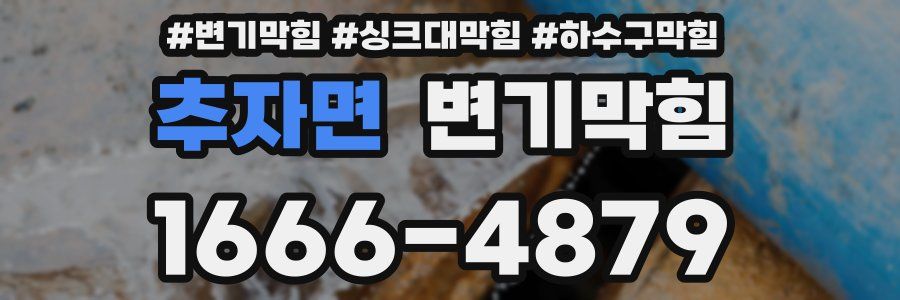 변기막힘