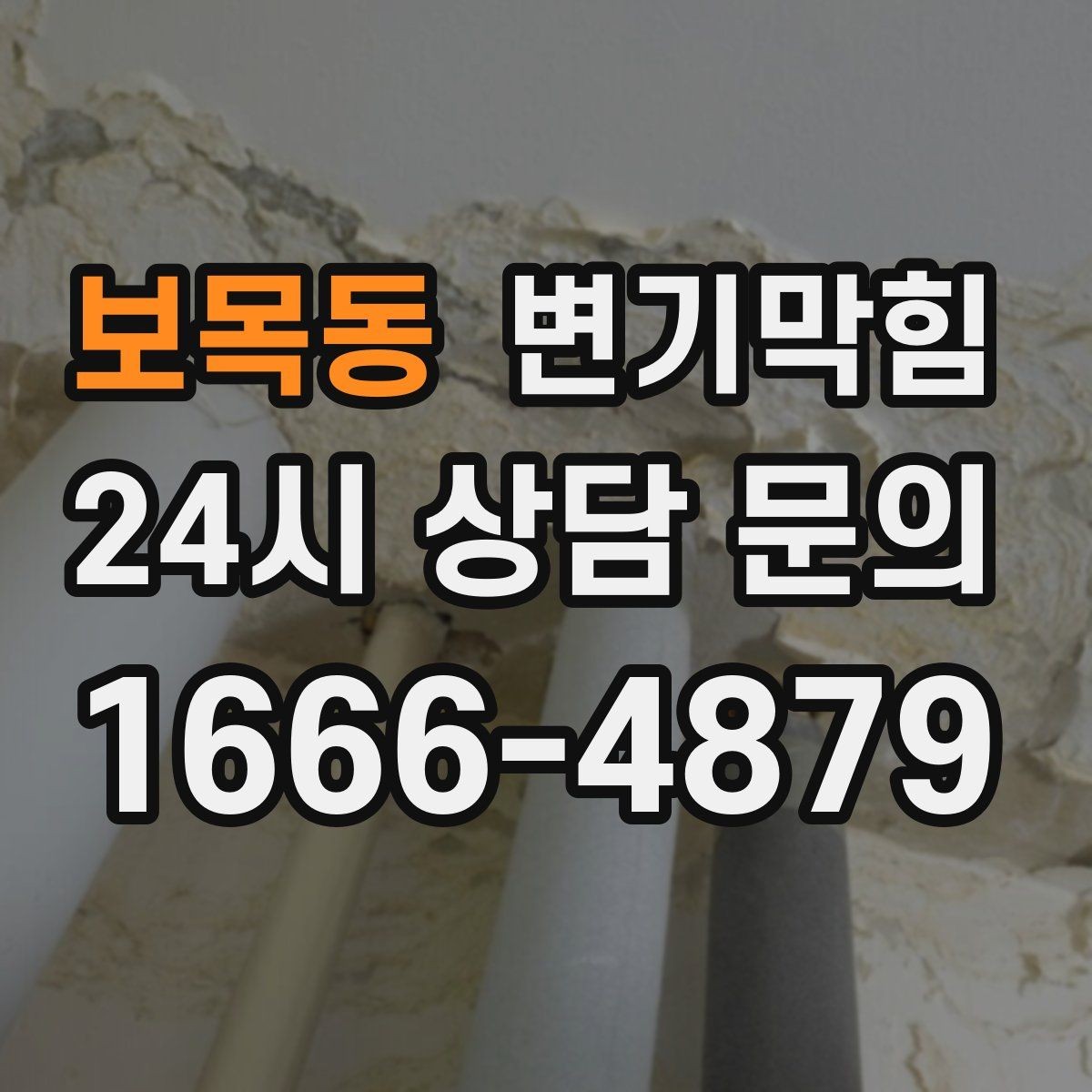 보목동 변기막힘 사무실 배수구막힘 점심 전 복구