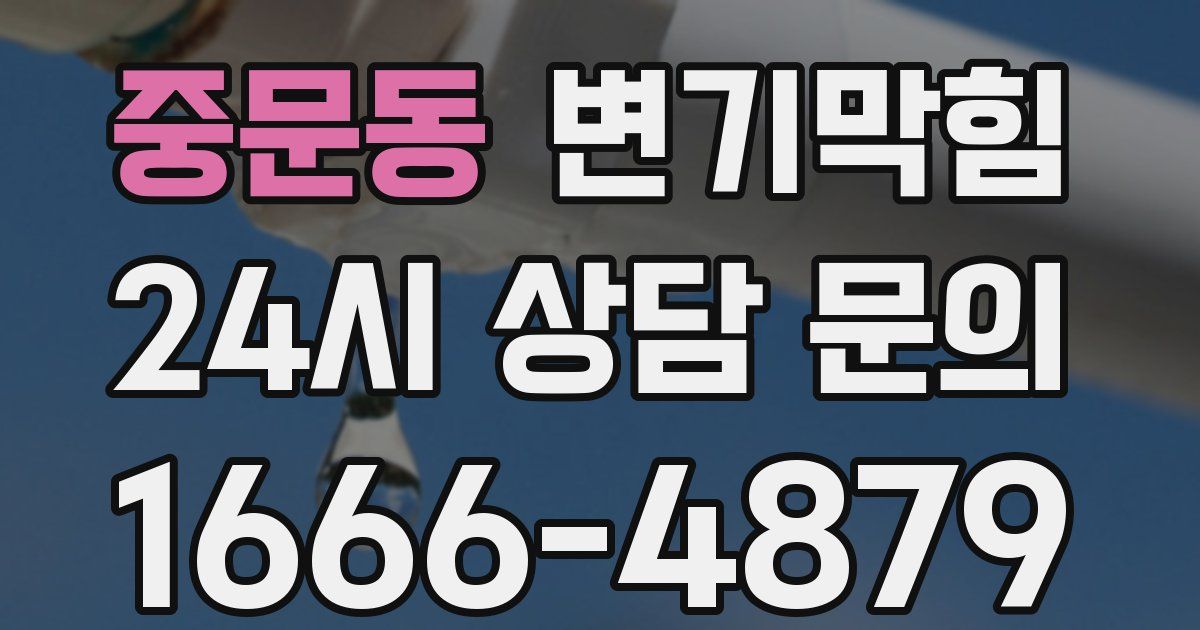 중문동 변기