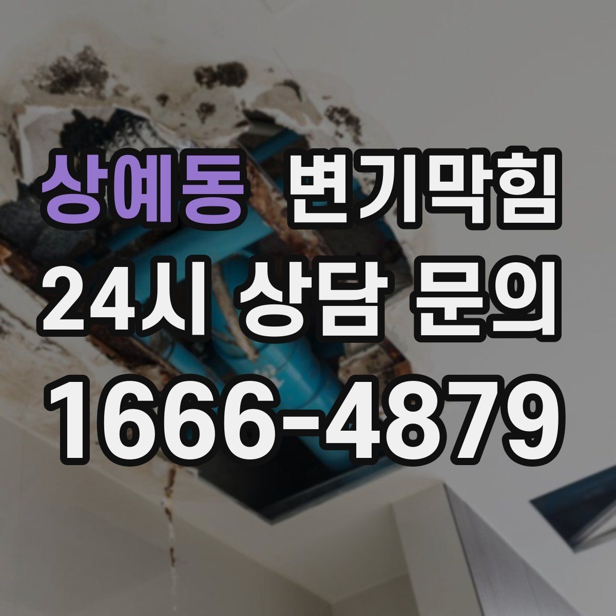 상예동 변기막힘 단독 주택 변기뚫는방법 적용 사례