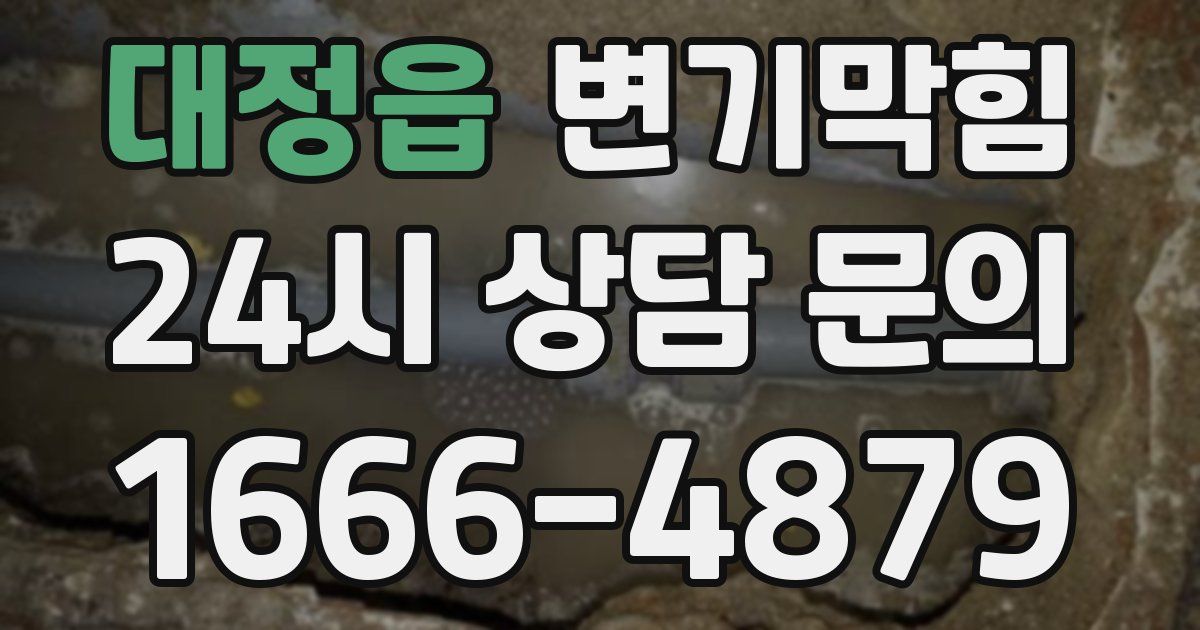 대정읍 변기