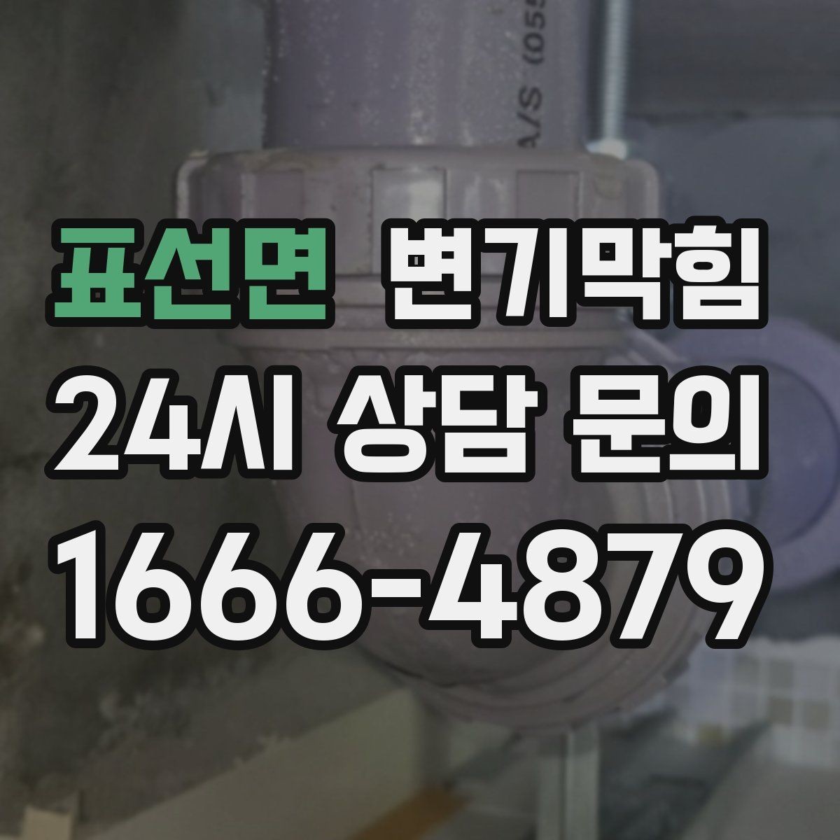 표선면 변기막힘 미용실 화장실역류 드레인 캡 교정