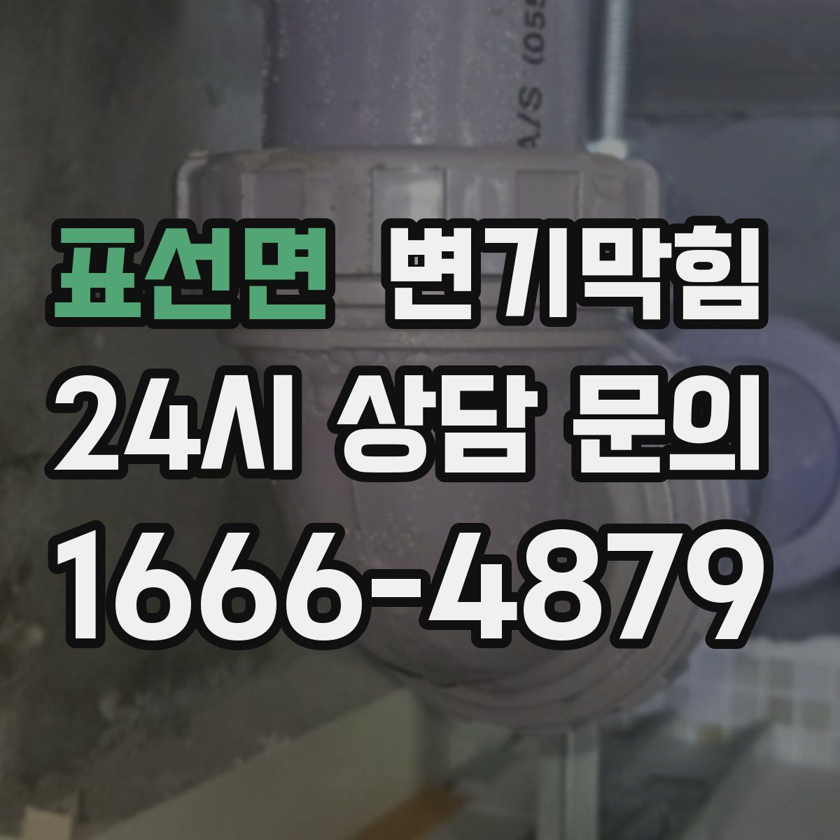 표선면 변기막힘