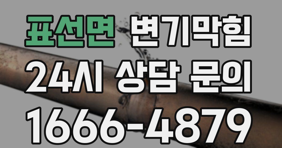표선면 변기