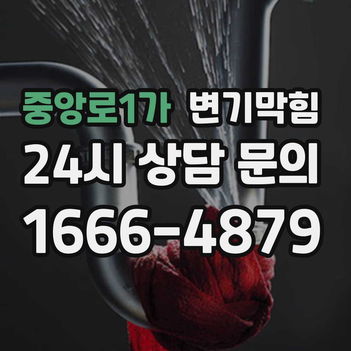 중앙로1가 변기막힘