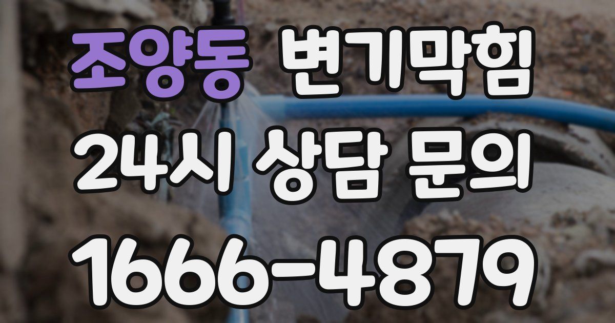 조양동 변기