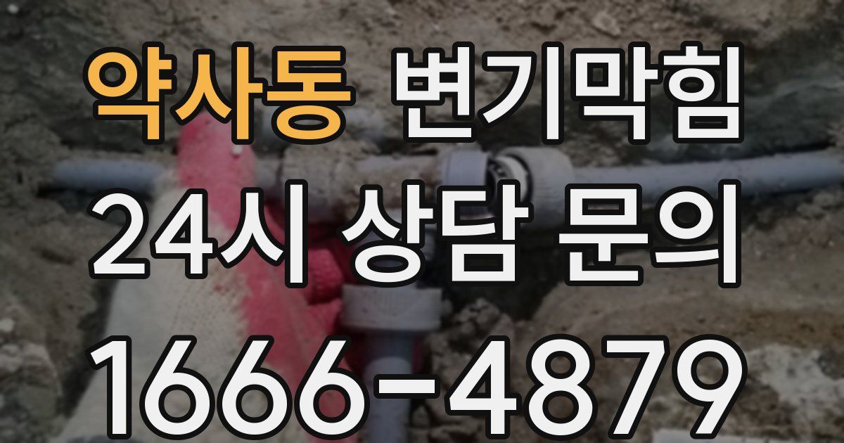 약사동 변기
