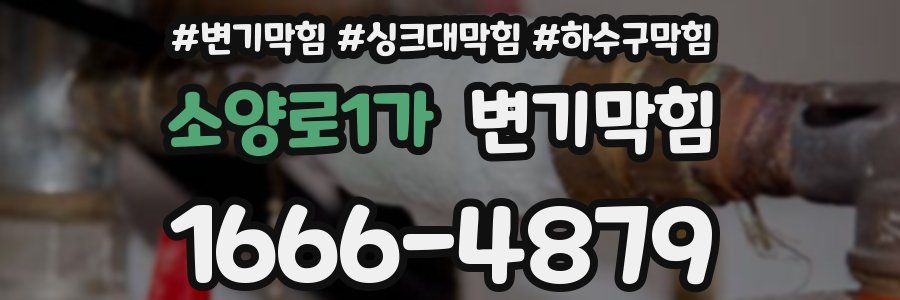 변기막힘