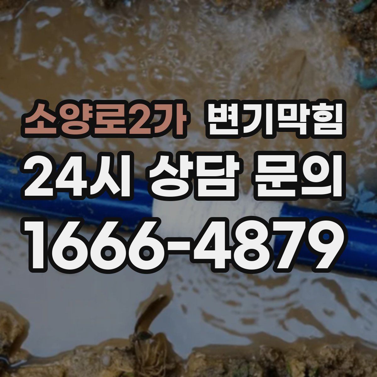 소양로2가 변기막힘 사무실 화장실막힘 회의 전 마감