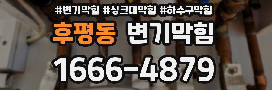 변기막힘