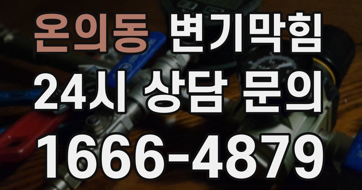 온의동 변기