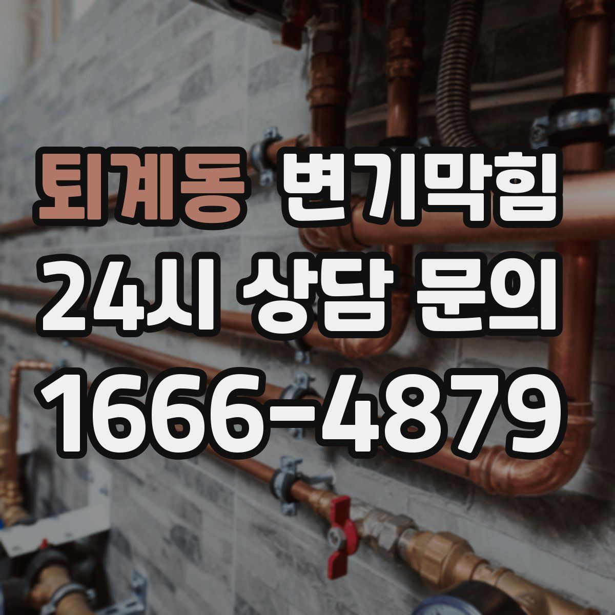 퇴계동 변기막힘