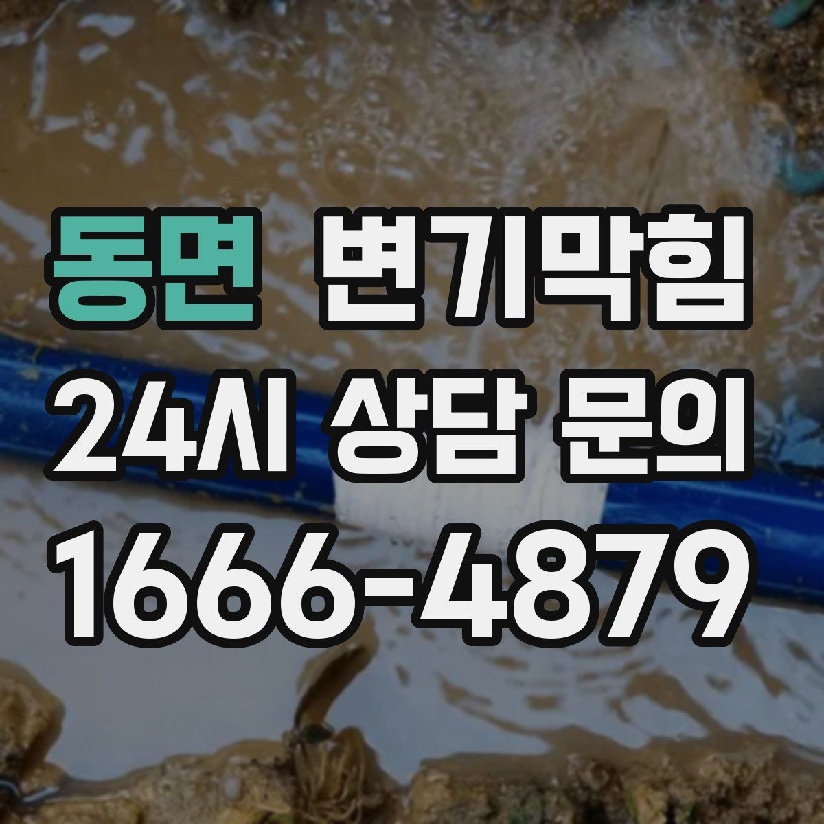 동면 변기막힘 미용실 배수구막힘 약제·컷팅 병행