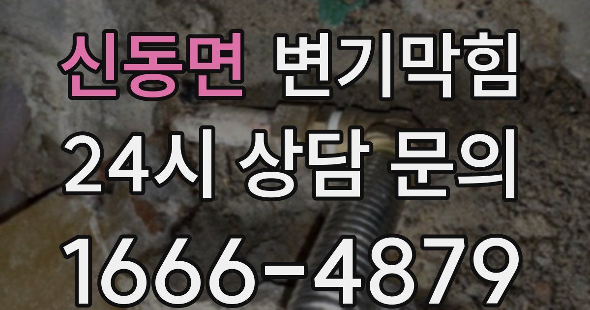 신동면 변기